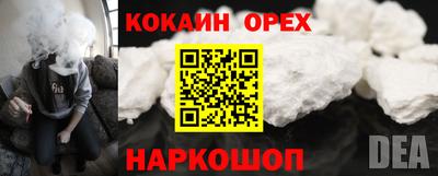 spice Кингисепп