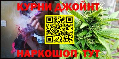 spice Кингисепп