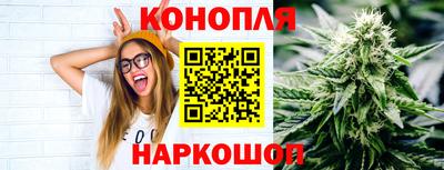 spice Кингисепп